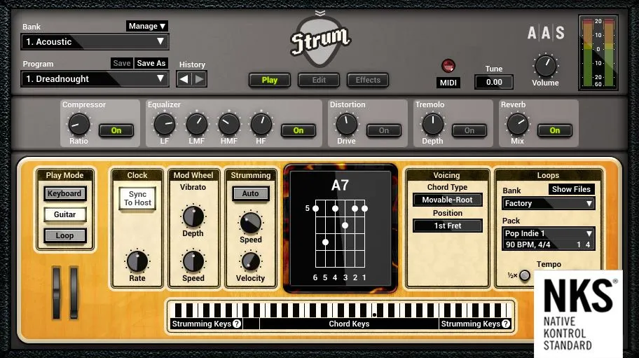 Strum GS-2 by Applied Acoustics Systems