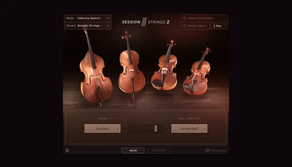 Best Chamber Strings (2026): Intimate Detail