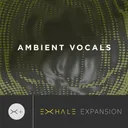 Ambient Vocals Expansion Pack (for EXHALE) by Output - Review Verdict